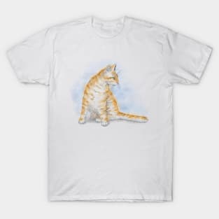 Cat 616 T-Shirt